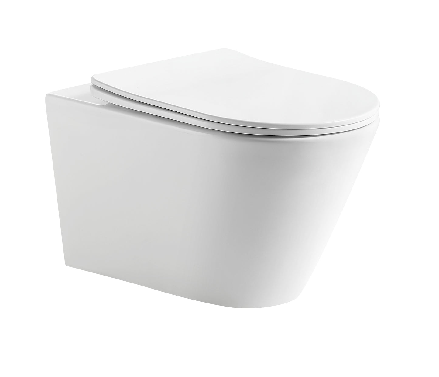 Agena Tornado Rimless Flush Wall-Hung Pan