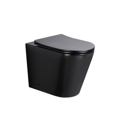 Acadia Tornado Rimless Wall Faced Floor Pan
