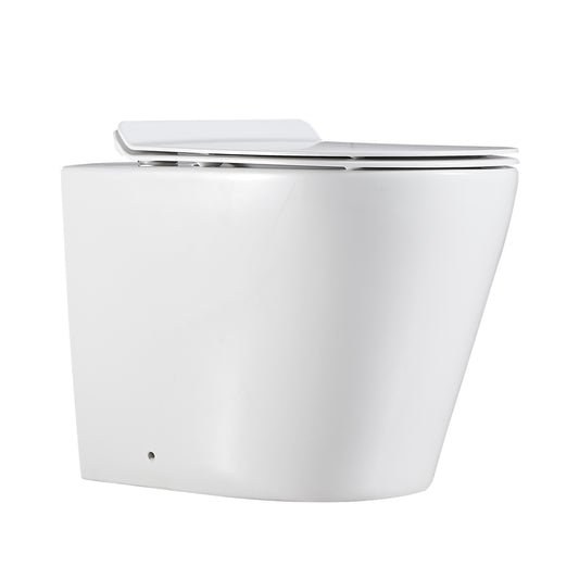 Agena Rimless  Wall Faced Floor Toilet Pan LK-AG104WFP