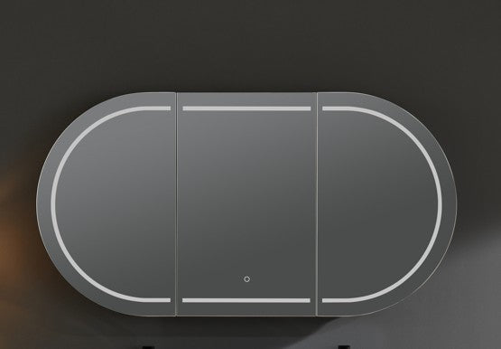 Allison Pill Shaving Cabinet