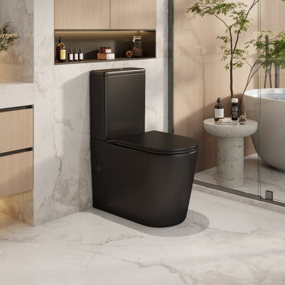 Berlin Back-to-Wall Toilet Suite
