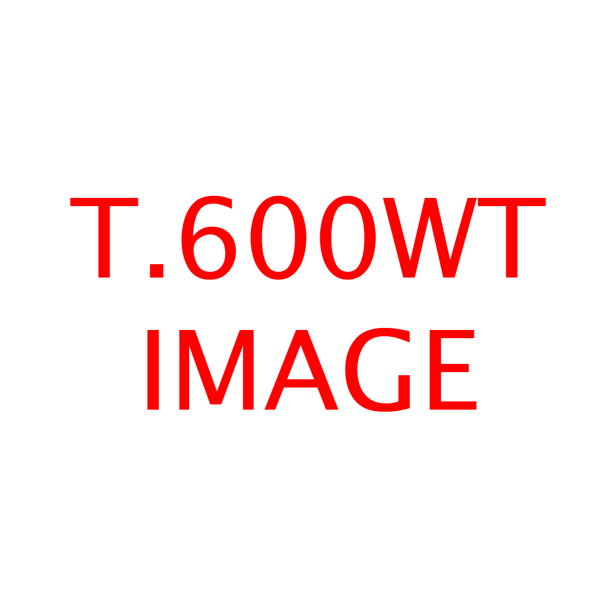 Test Product 2025