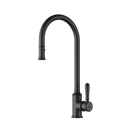 Clasico Sink Mixer Pull-Out